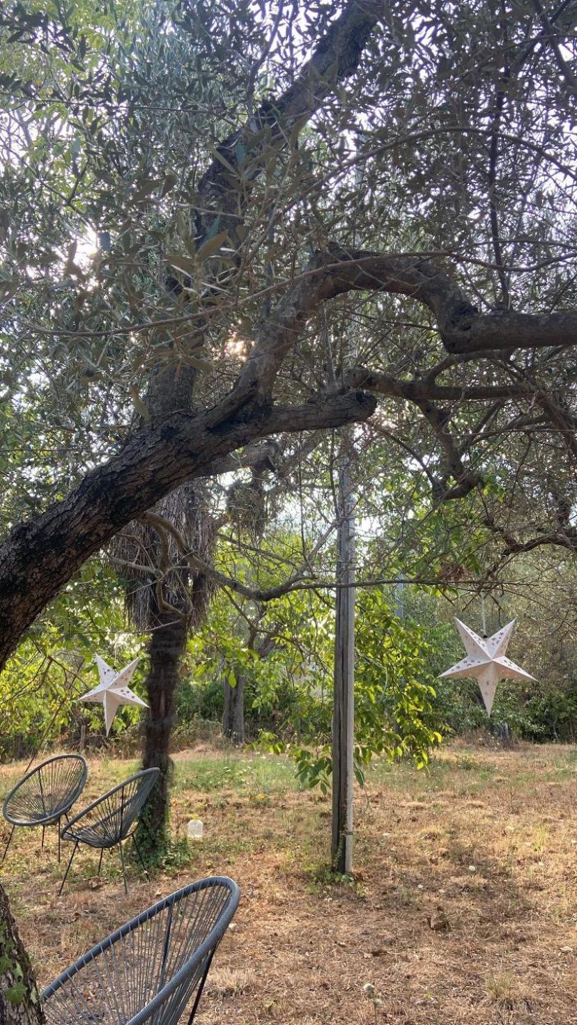Bolsena Cento20 - Rooms & Relax 외부 사진